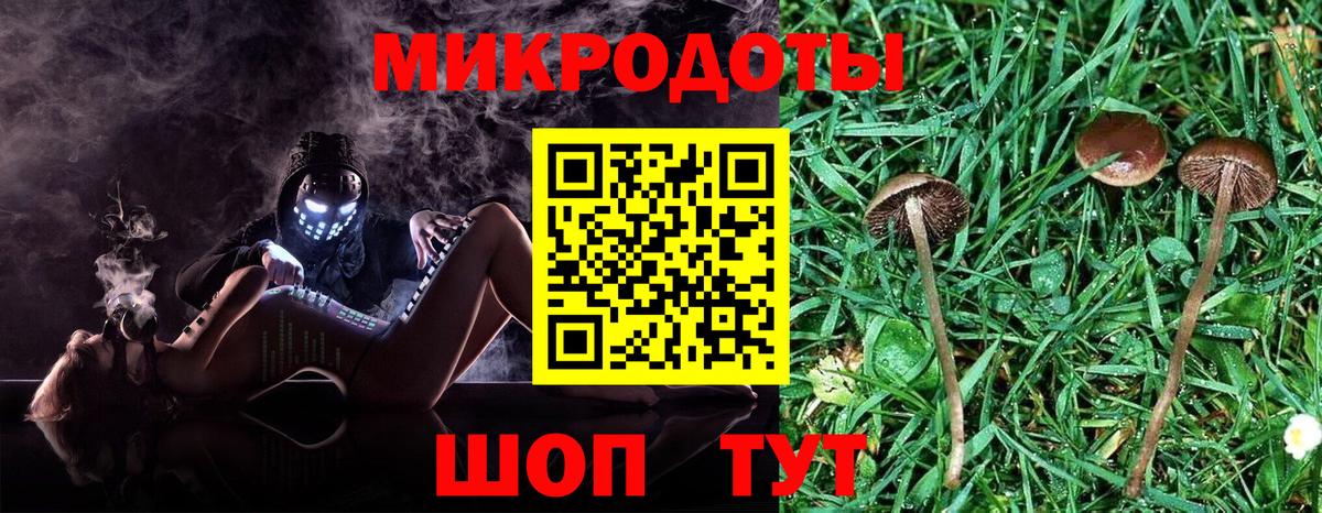 Людиново  Галлюциногенные грибы прущие грибы  Псилоцибиновые грибы Magic Shrooms  Вход с VPN 