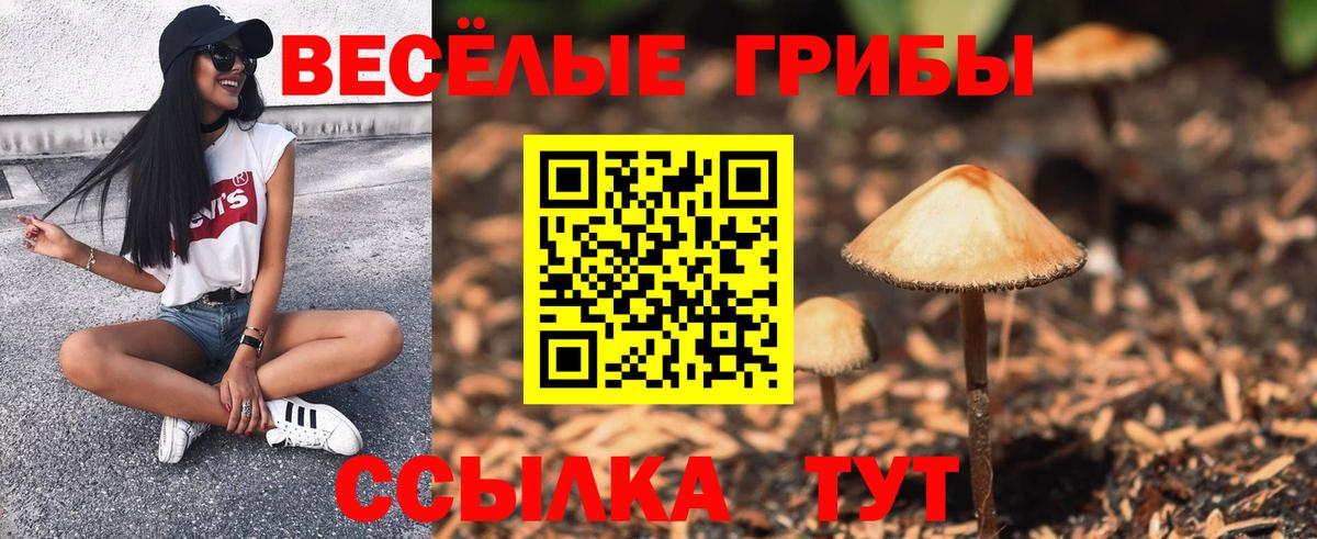 Людиново  АМФЕТАМИН кристаллы  Вход с VPN  Мефедрон кристаллы  Гашиш  Конопля 