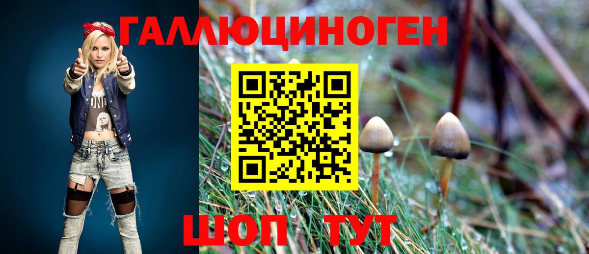 Галлюциногенные грибы прущие грибы Людиново